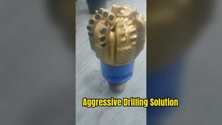 Ölbrunnen-8-1/2-Zoll-PDC-Bohrer von Custom Special